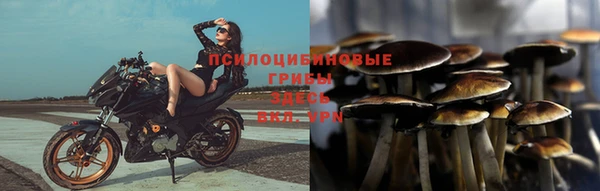 шишки Домодедово